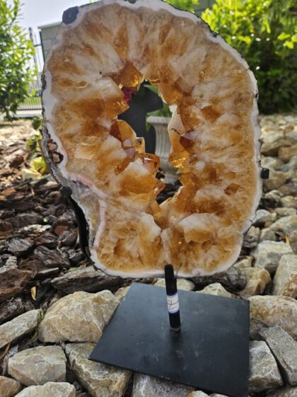 Citrin portal